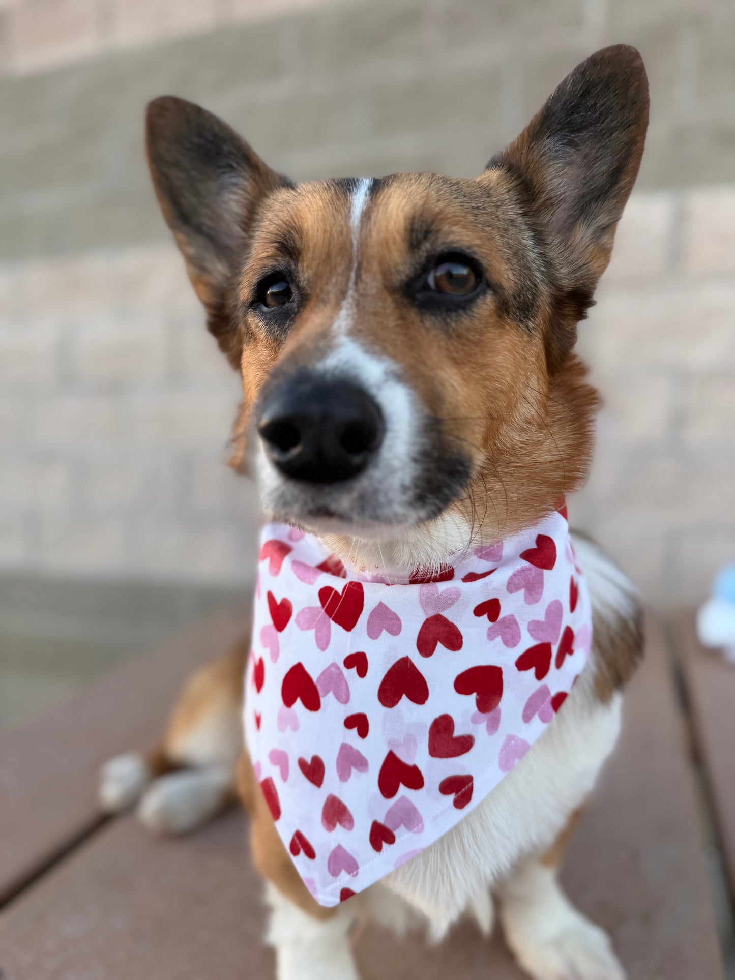 Crazy in Love Heart Bandana