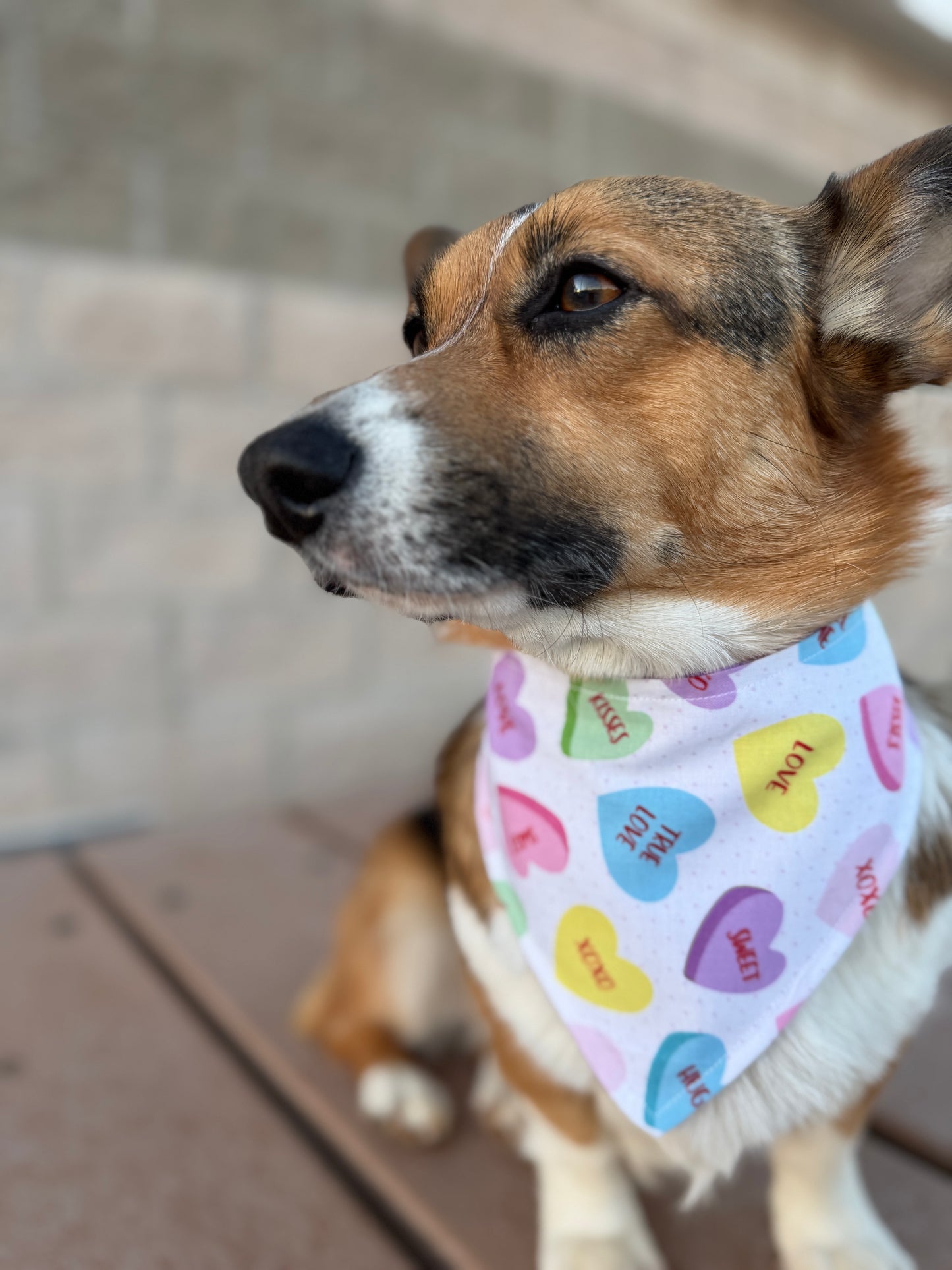 Candy Hearts Dog Bandana