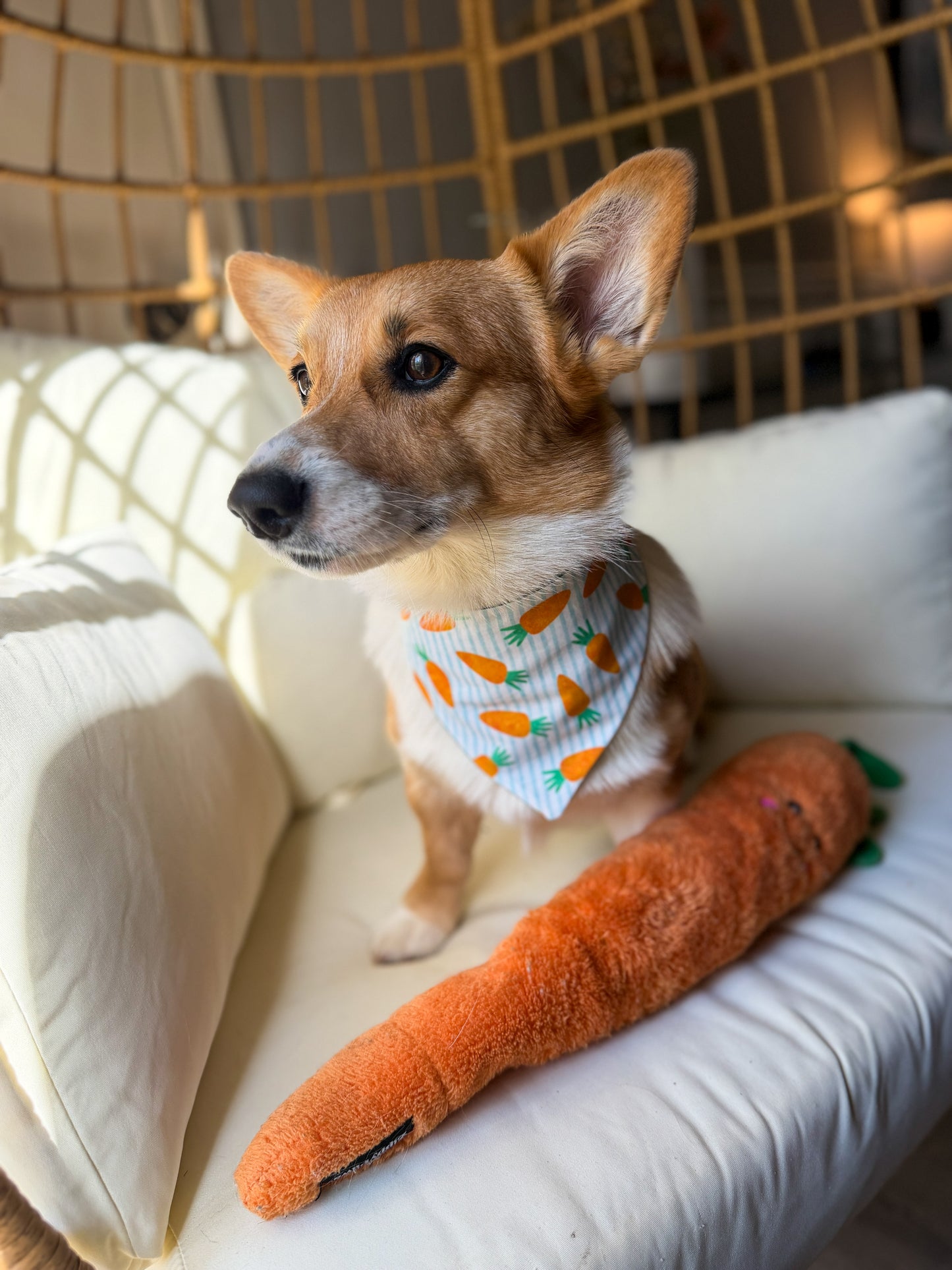 Carrot Cutie Dog Bandana