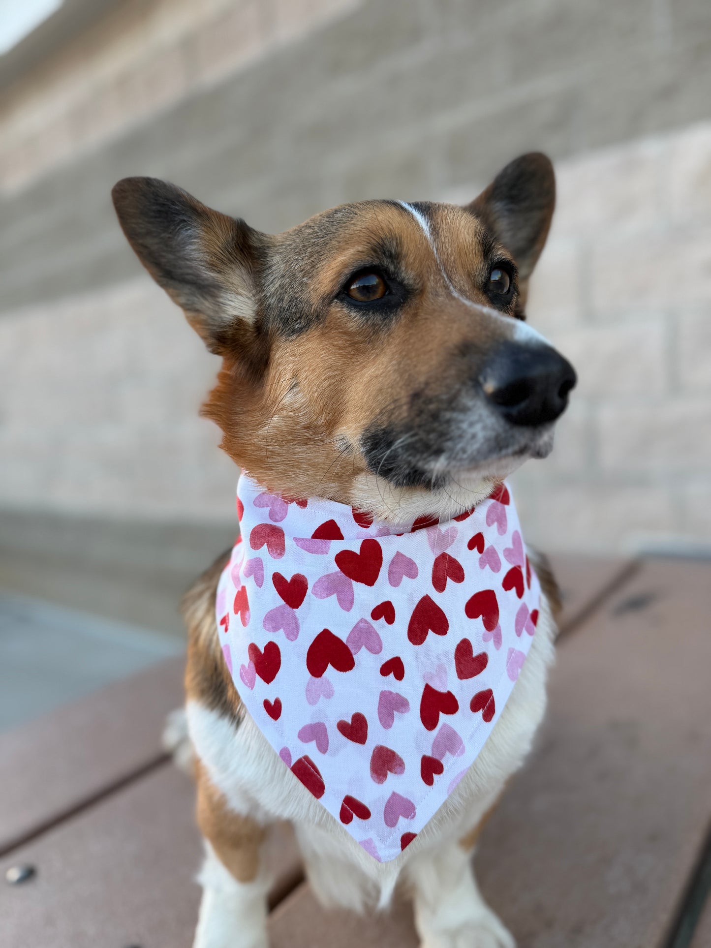 Crazy in Love Heart Bandana