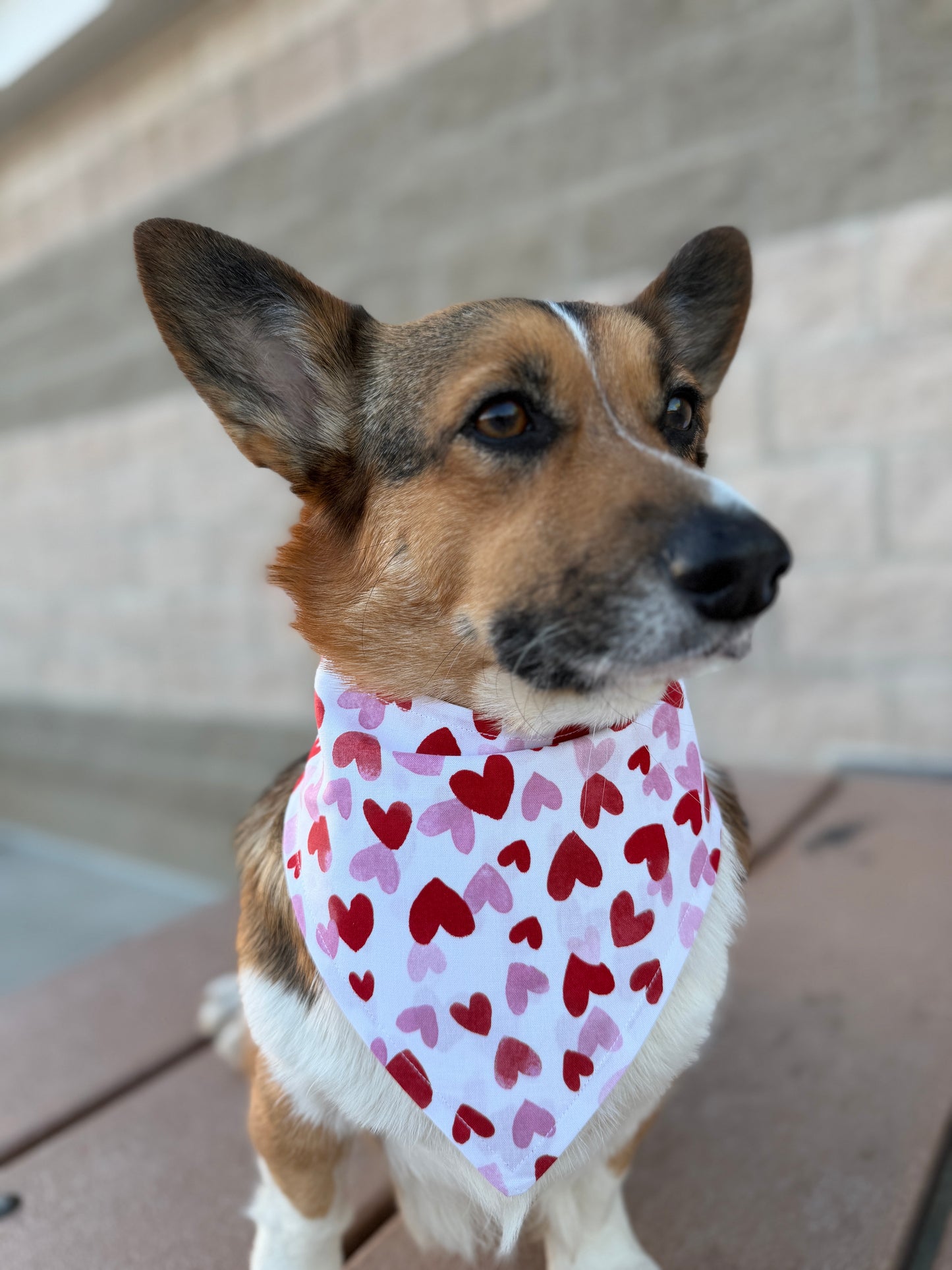 Crazy in Love Heart Bandana