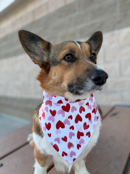 Crazy in Love Heart Bandana