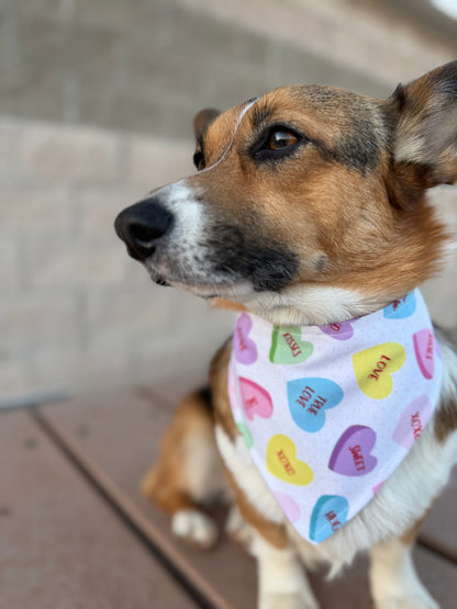 Candy Hearts Dog Bandana