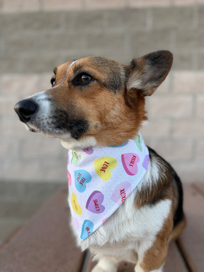 Candy Hearts Dog Bandana