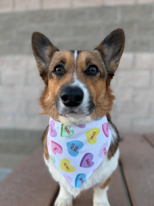 Candy Hearts Dog Bandana
