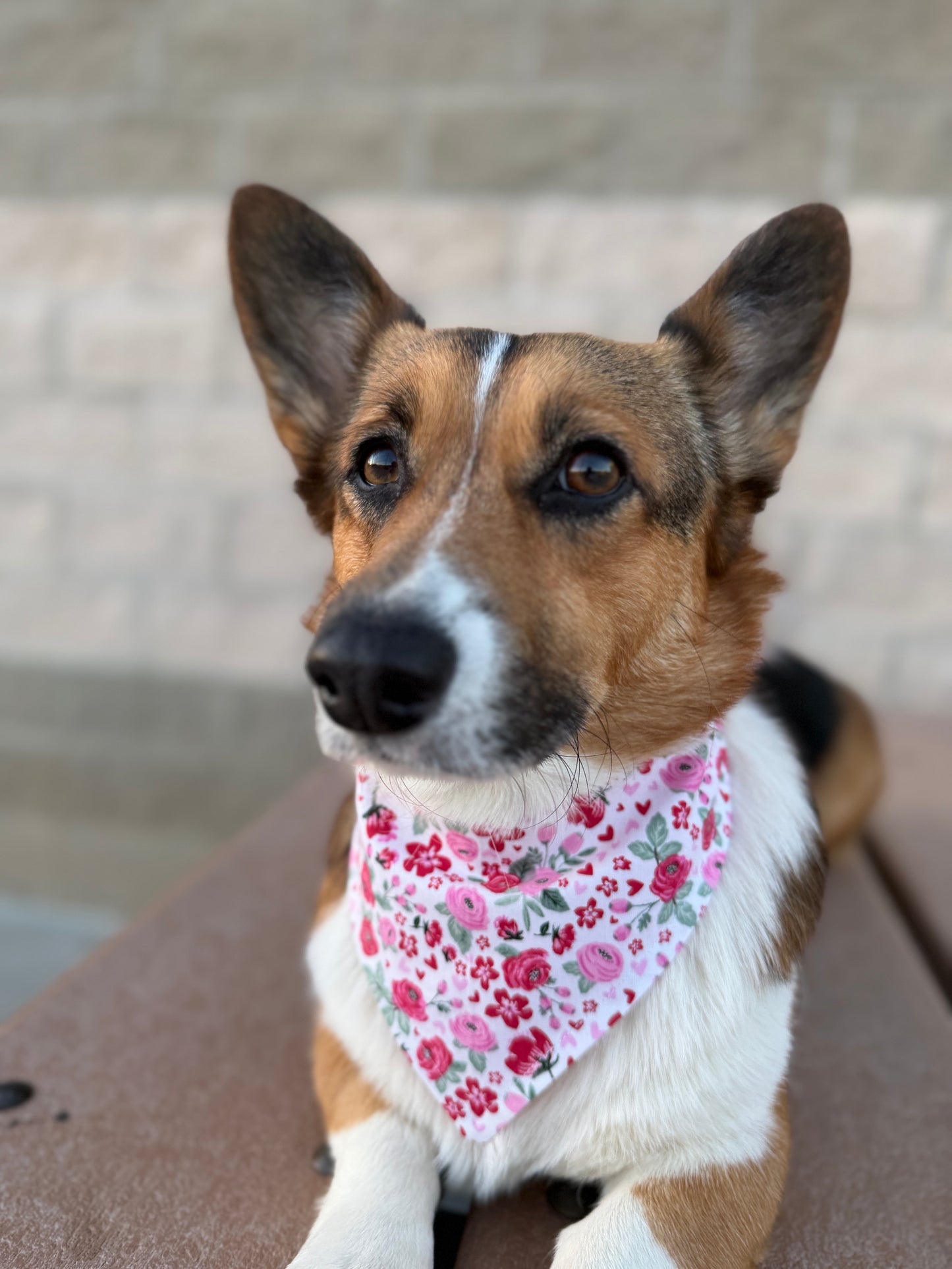 Pink Floral Dog Bandana