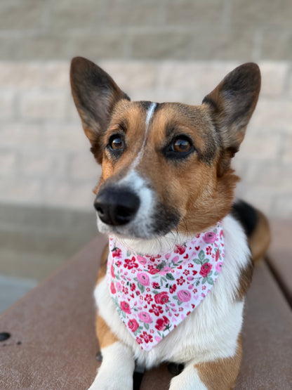 Pink Floral Dog Bandana