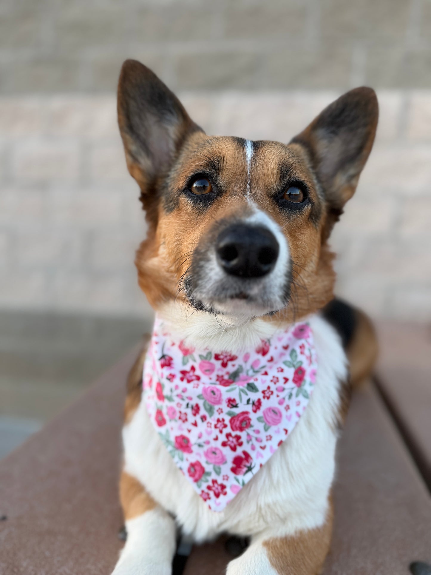 Pink Floral Dog Bandana