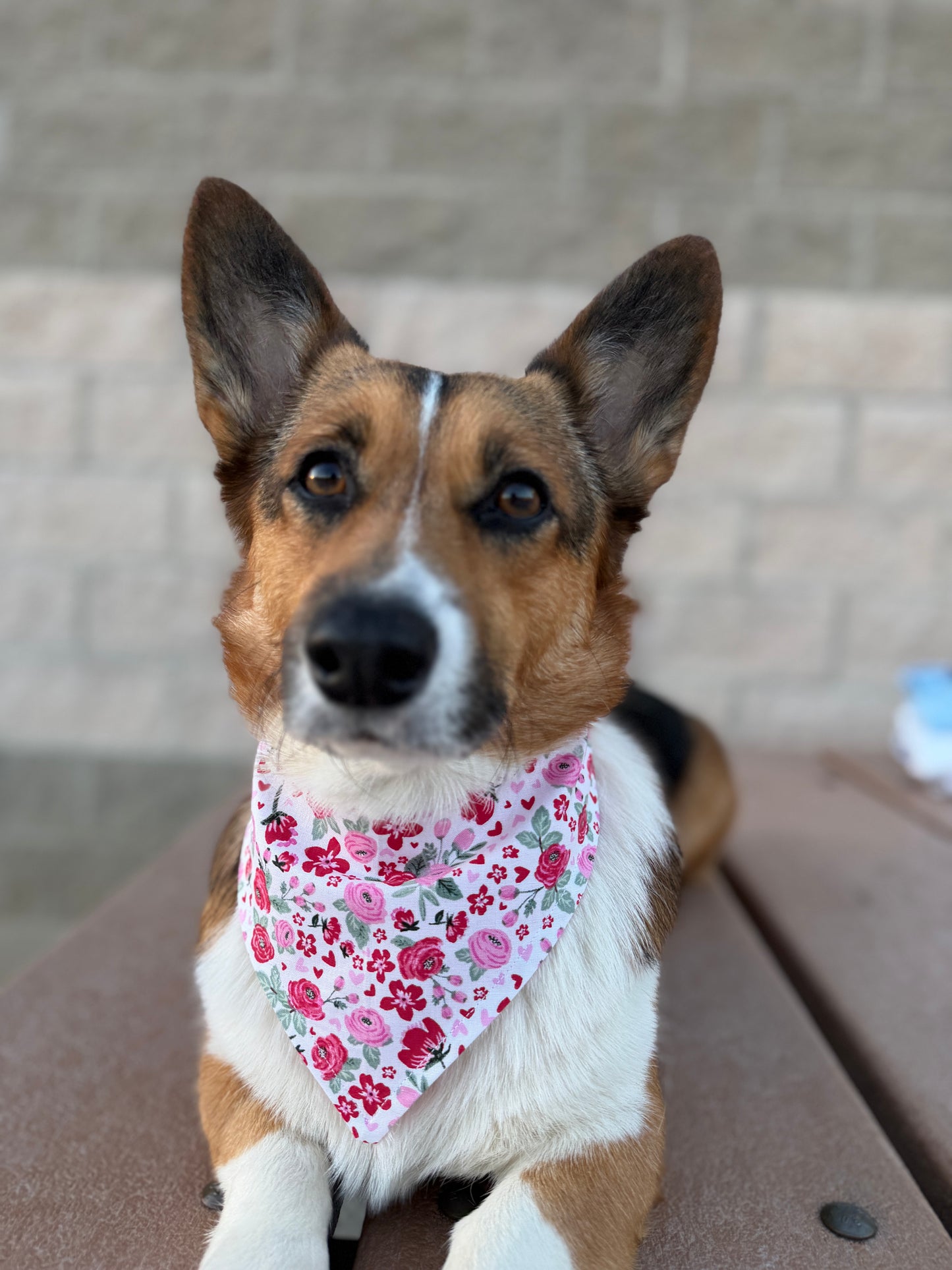 Pink Floral Dog Bandana