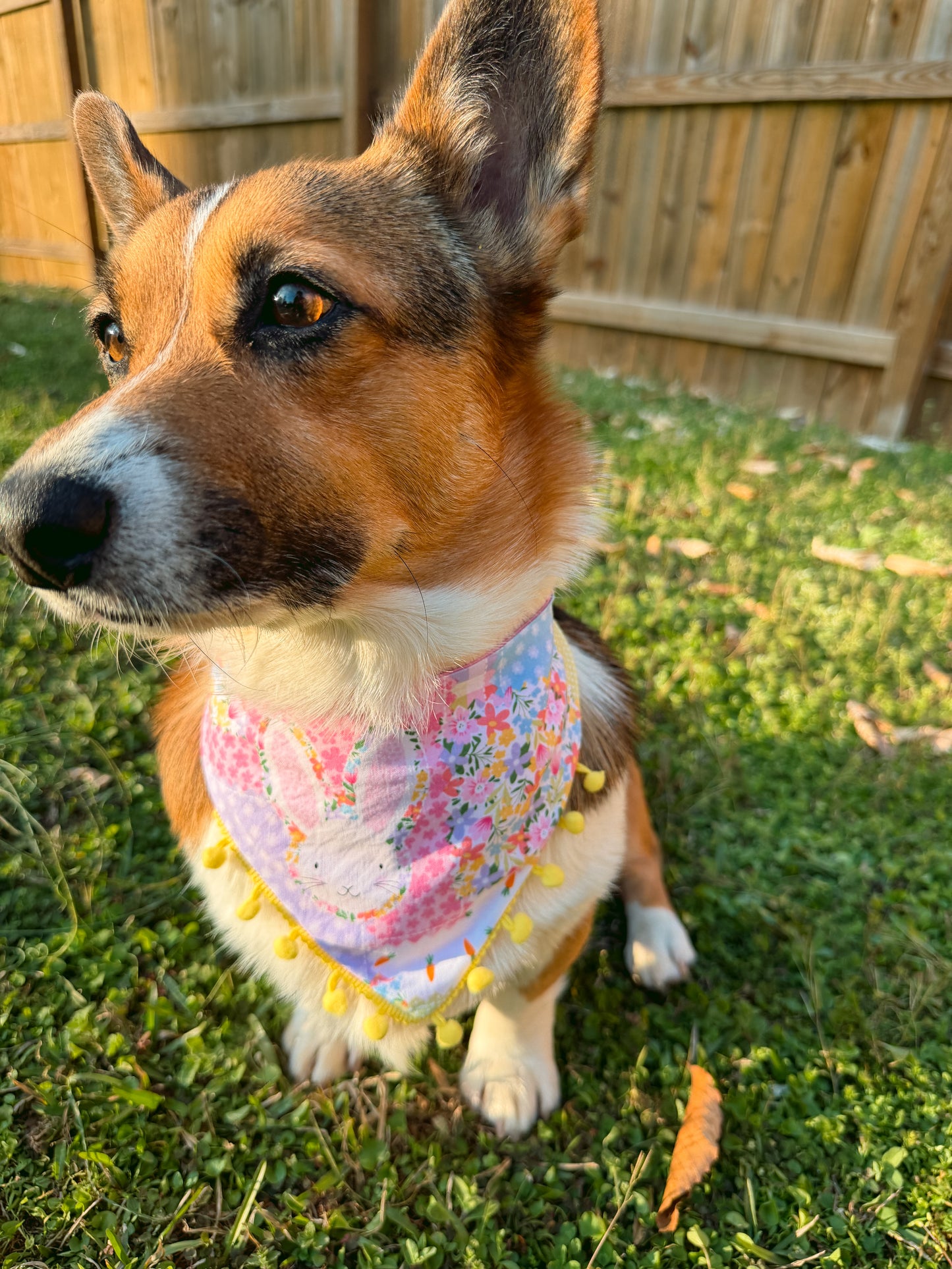 Bunny Hop Dog Bandana