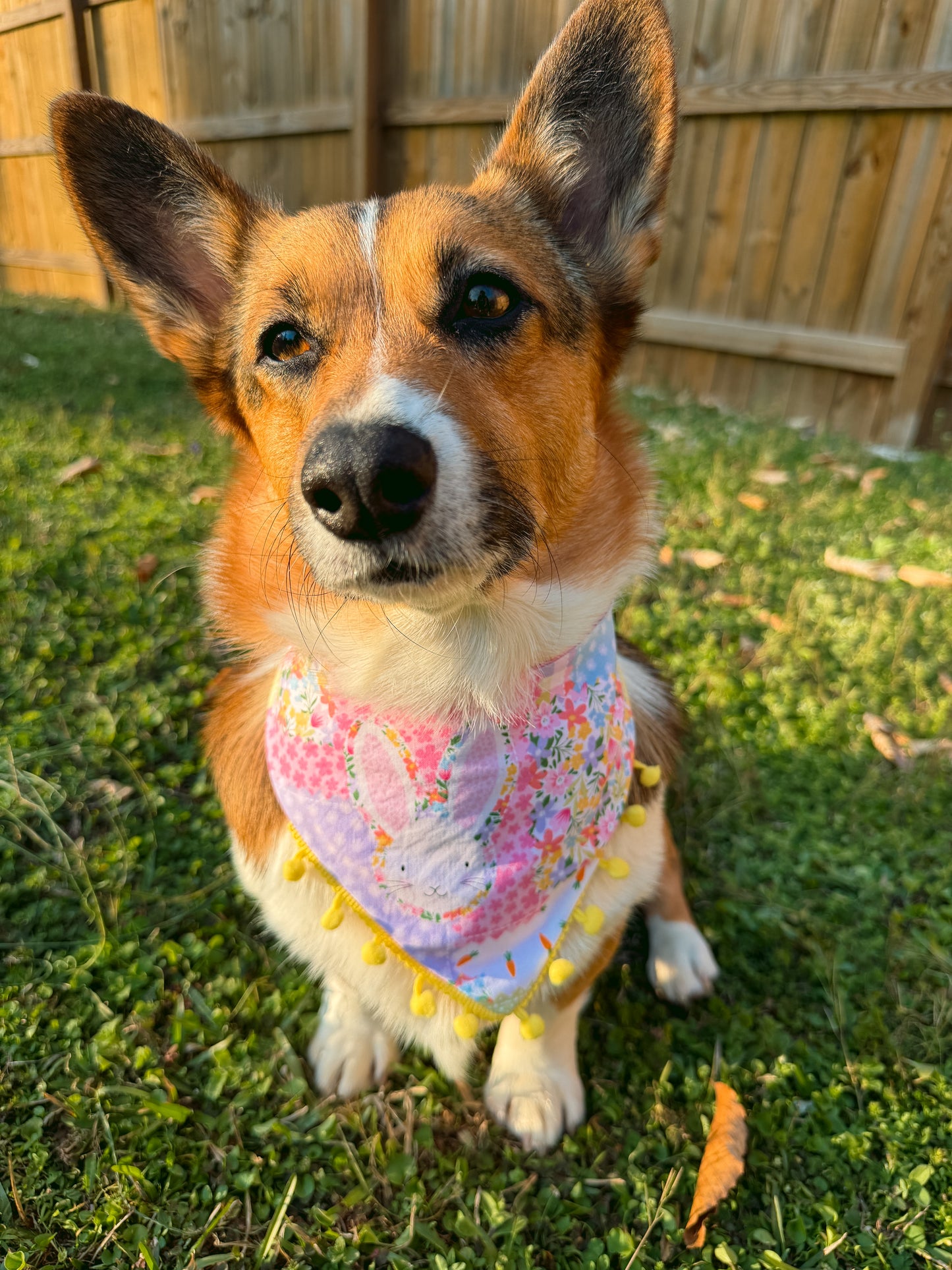 Bunny Hop Dog Bandana