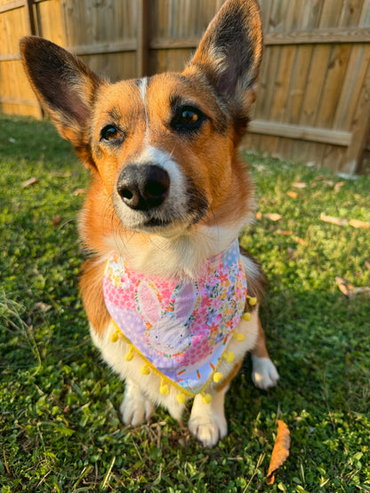 Bunny Hop Dog Bandana
