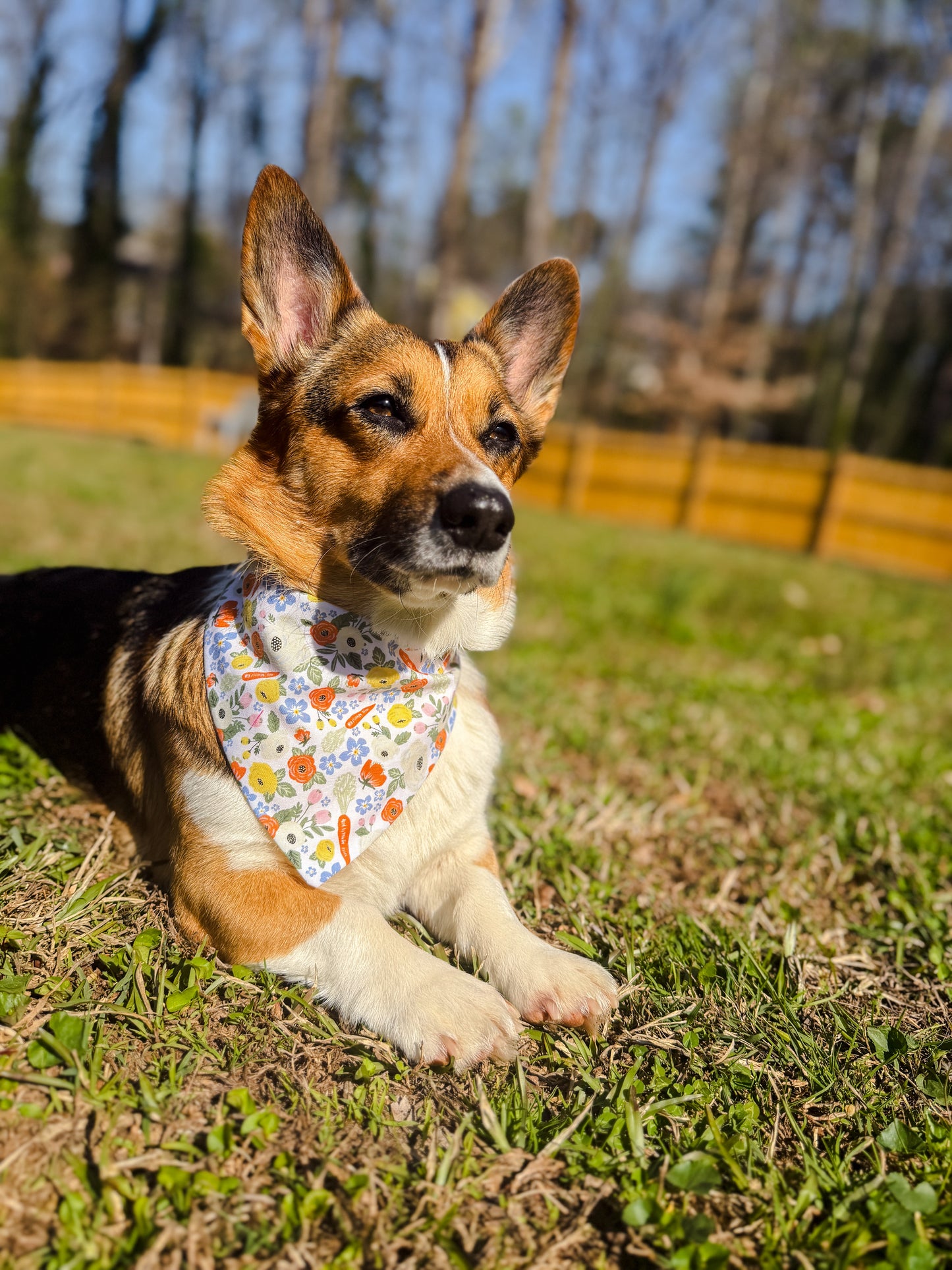 Garden Dreaming Dog Bandana