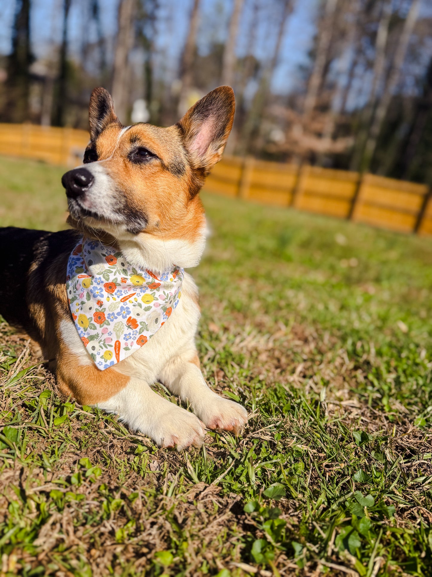 Garden Dreaming Dog Bandana