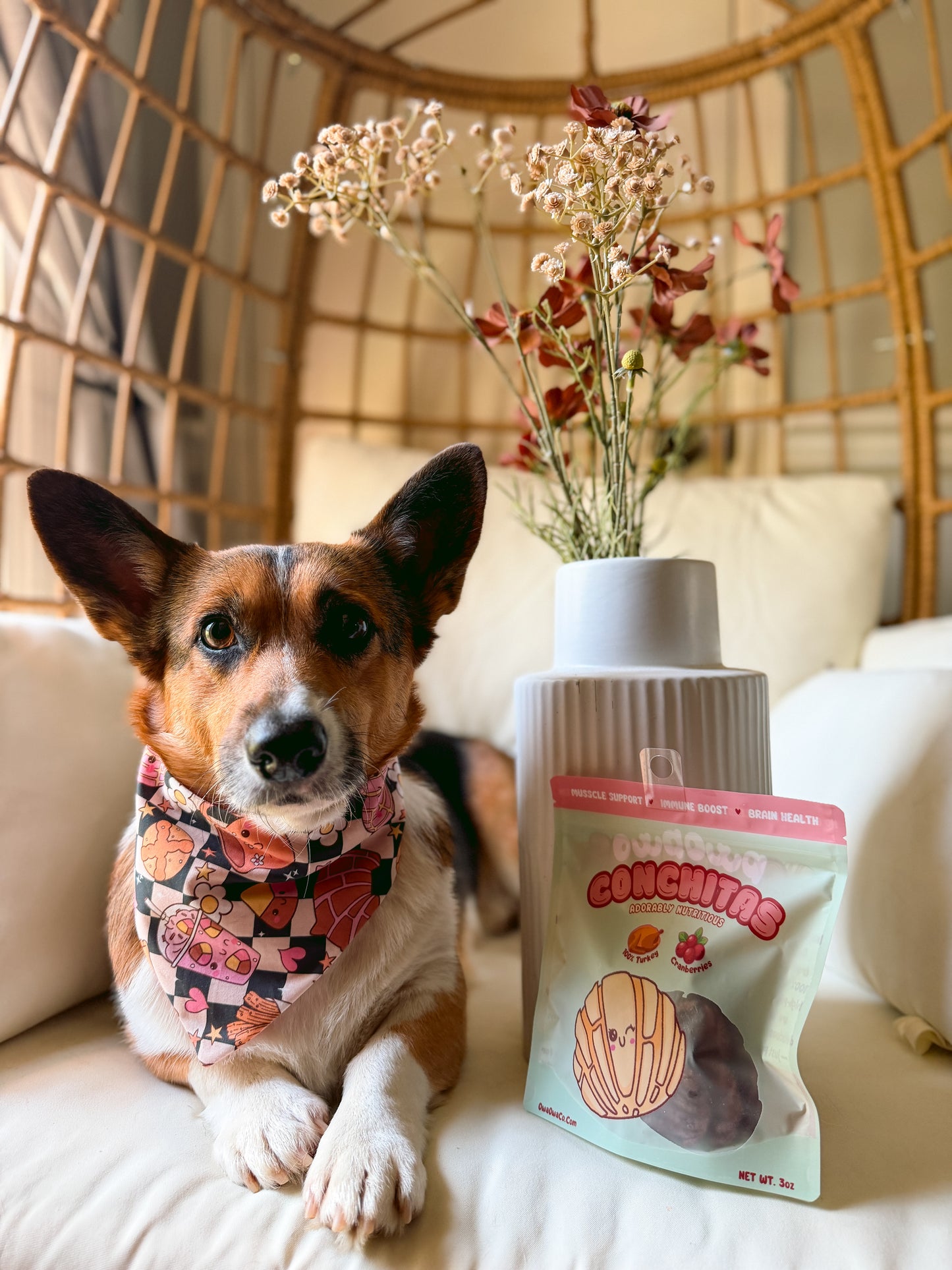 Pan Dulce Paws Dog Bandana