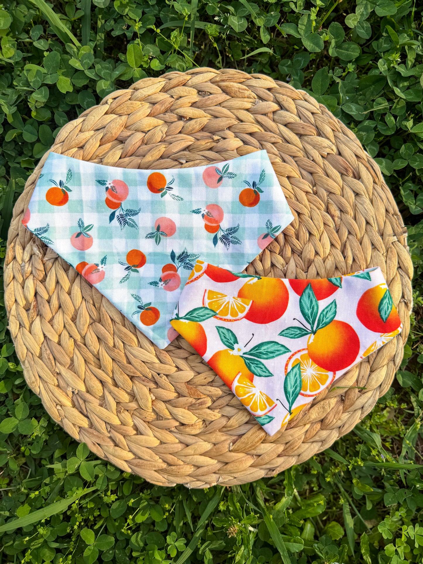 Orange Cutie Dog Bandana