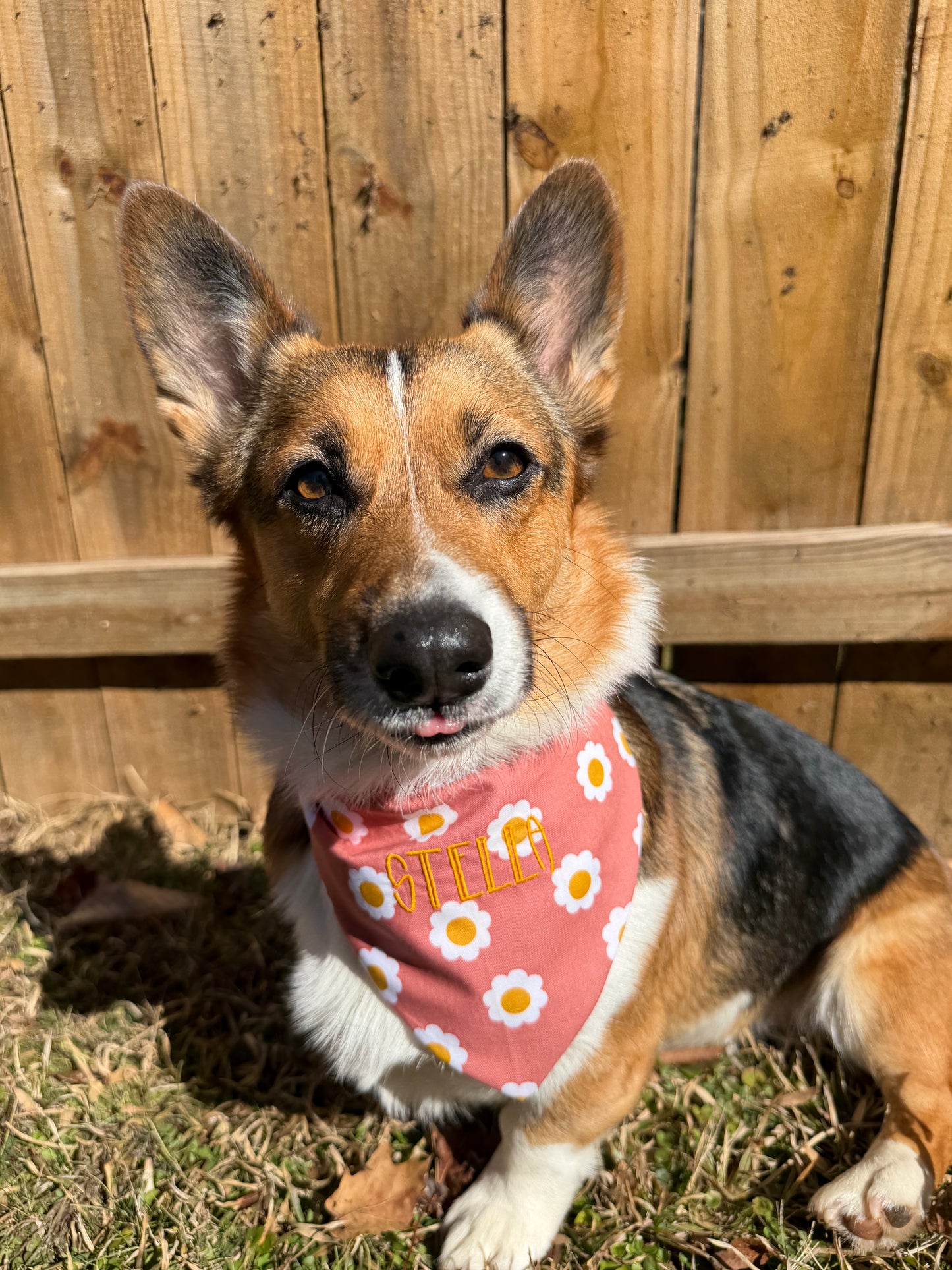 Boho Daisy Bandana