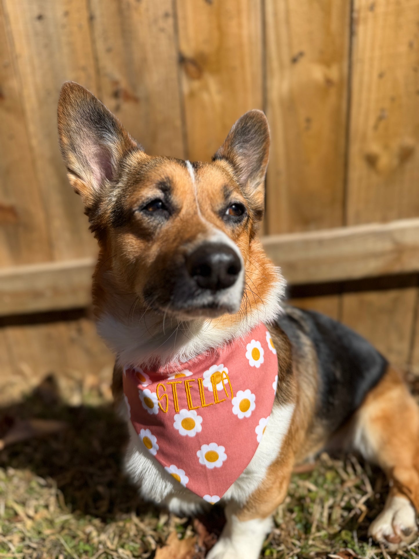 Boho Daisy Bandana