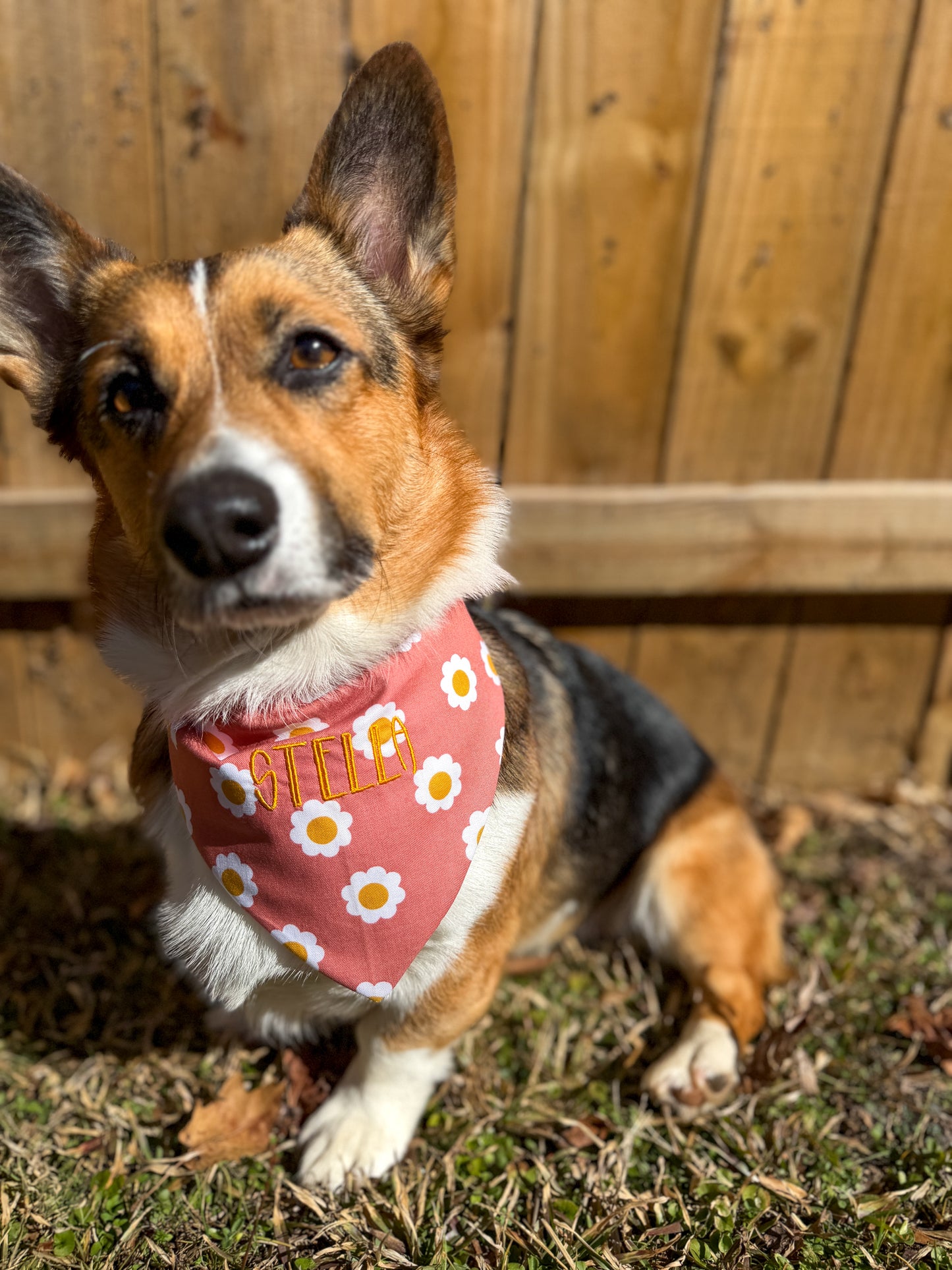 Boho Daisy Bandana