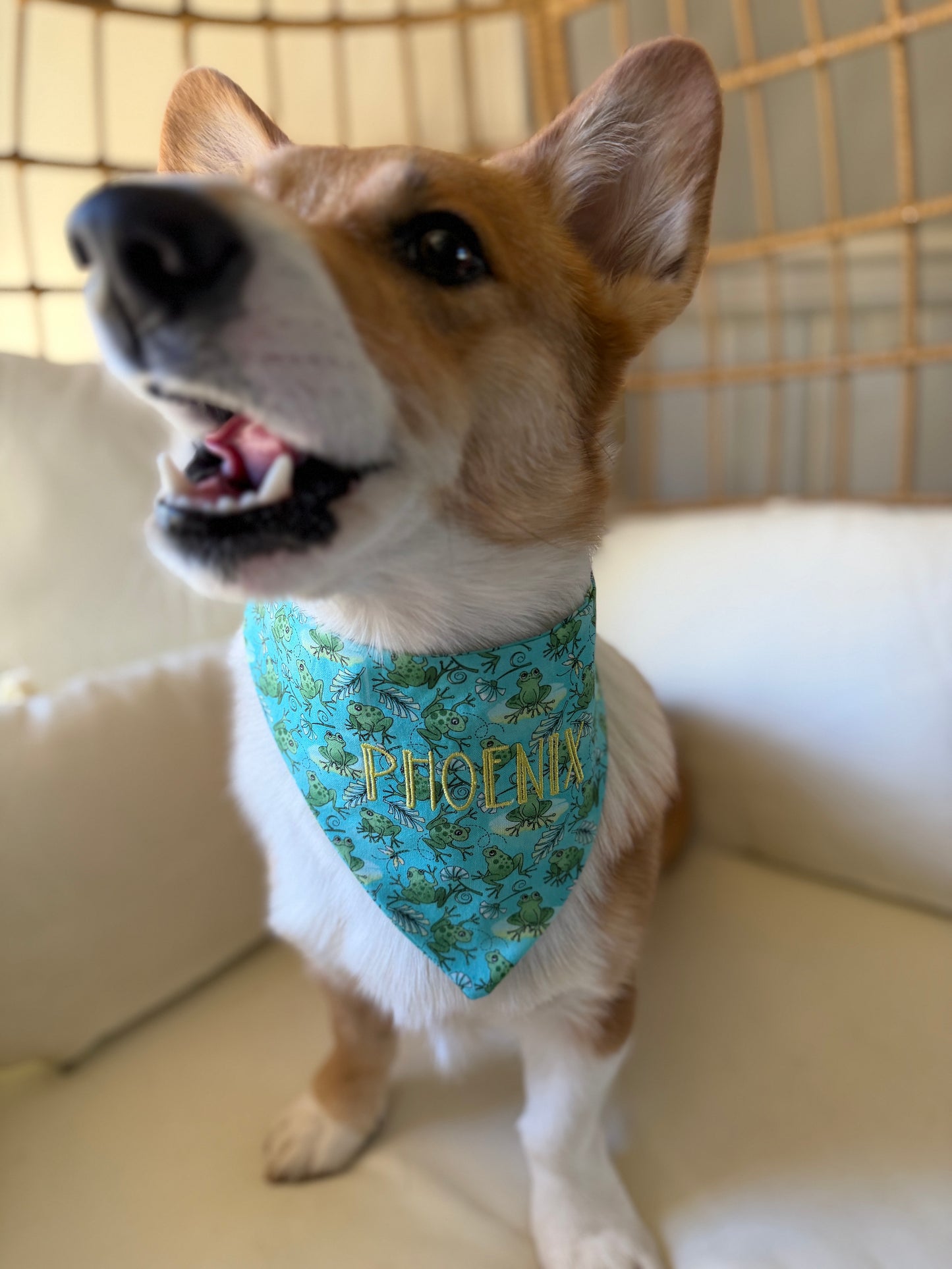 Frog Days Dog Bandana