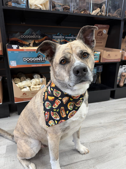 Let’s Taco Dog Bandana