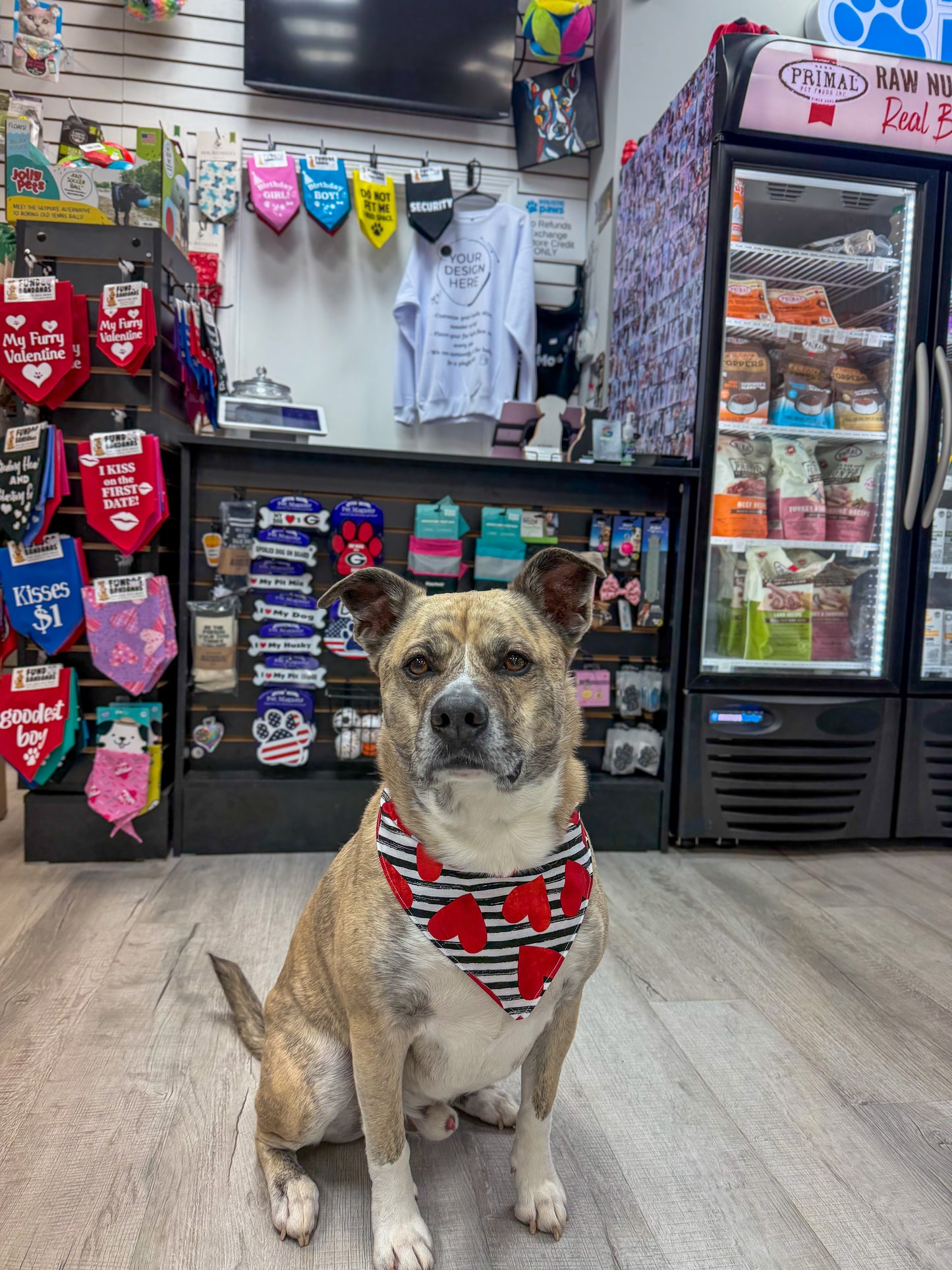 Heart Throb Dog Bandana
