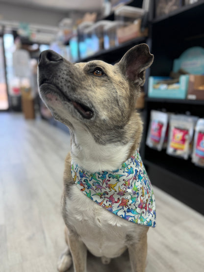 Dino Blast Bandana