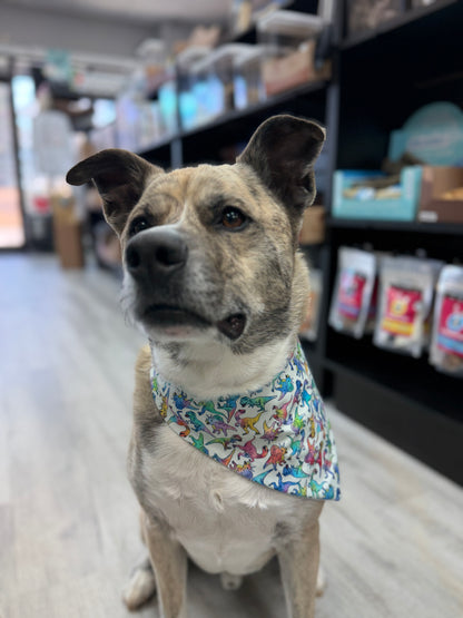 Dino Blast Bandana